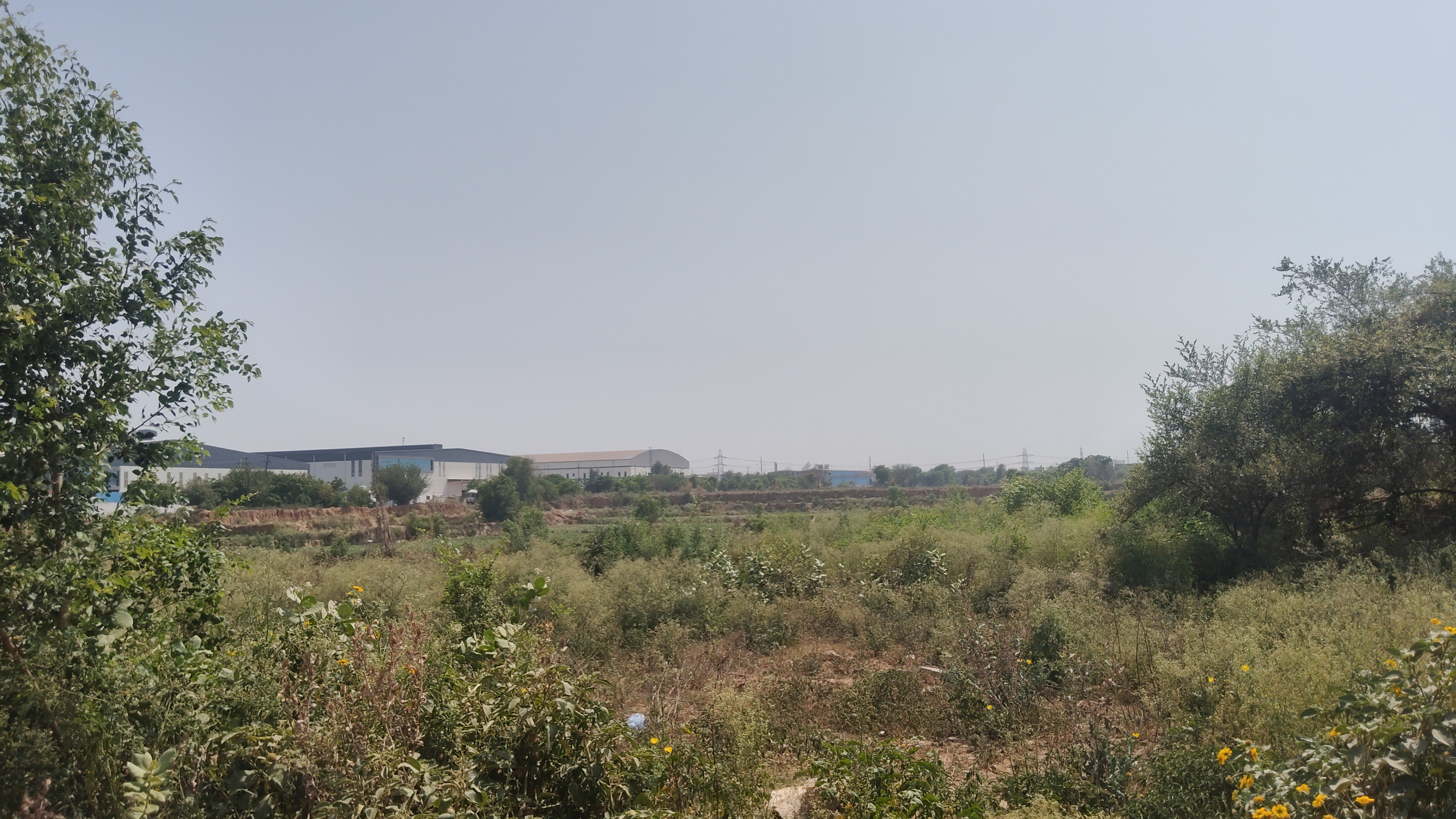 Industrial plot 4000 sqmtr ecoteck 1 extension 1 greater Noida
