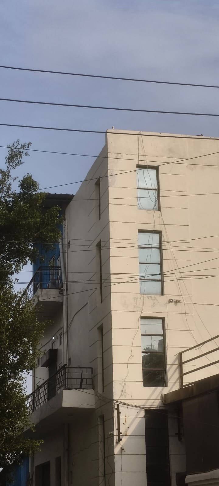 INDUSTRIAL BUILDING 40000 SQ FT FOR RENT IN SECTOR 158 NOIDA